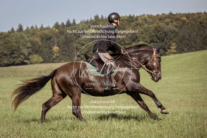 Schleppjagd_Laichingen-157