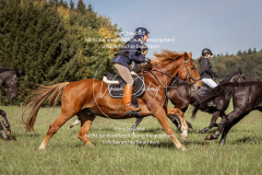 Schleppjagd_Laichingen-169