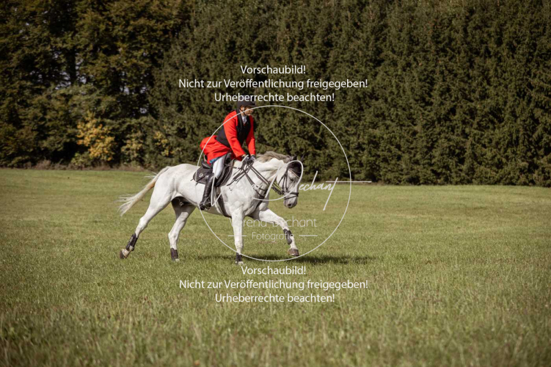 Schleppjagd_Laichingen-175