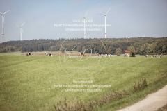 Schleppjagd_Laichingen-189