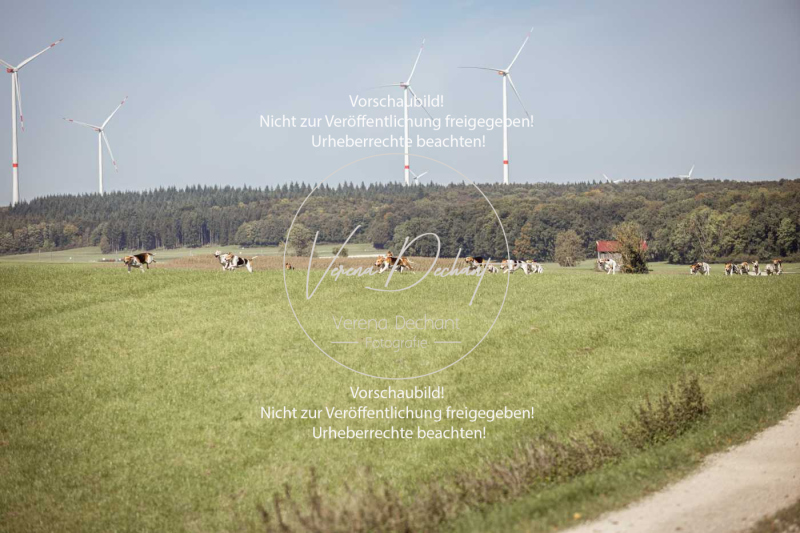 Schleppjagd_Laichingen-189