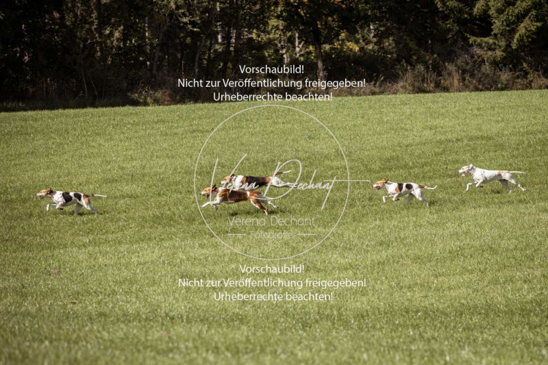 Schleppjagd_Laichingen-191