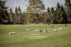 Schleppjagd_Laichingen-192