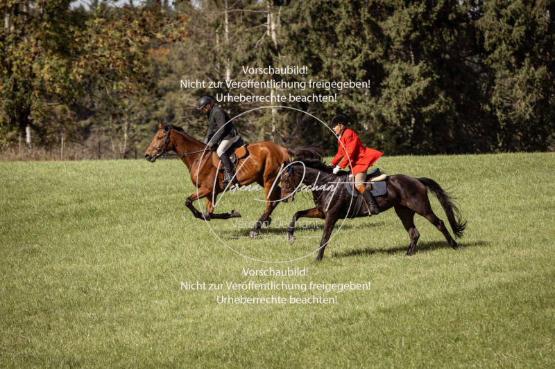 Schleppjagd_Laichingen-210