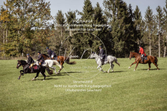 Schleppjagd_Laichingen-214