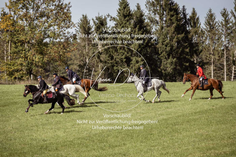 Schleppjagd_Laichingen-214