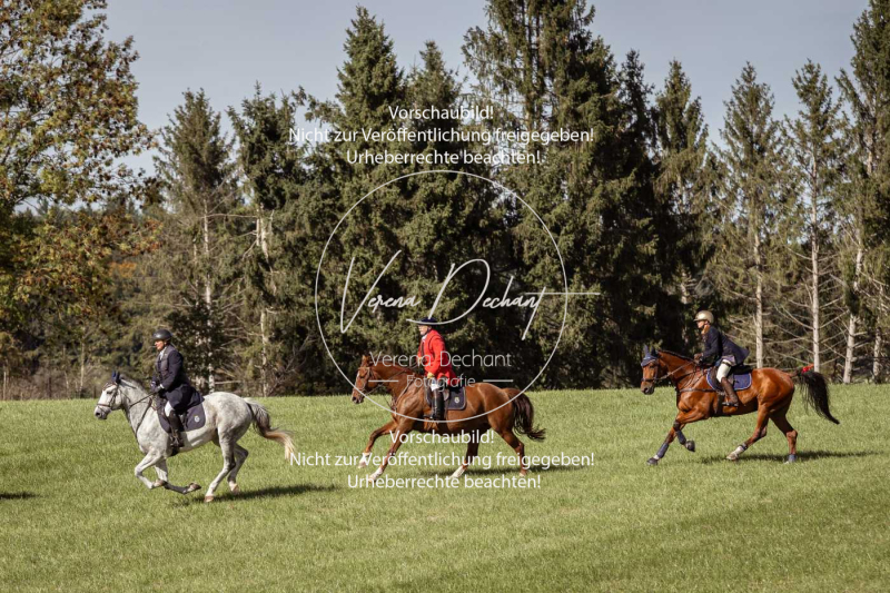 Schleppjagd_Laichingen-215