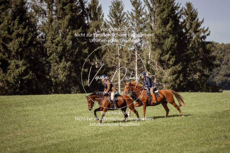 Schleppjagd_Laichingen-220