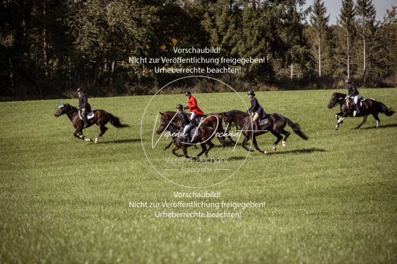 Schleppjagd_Laichingen-229