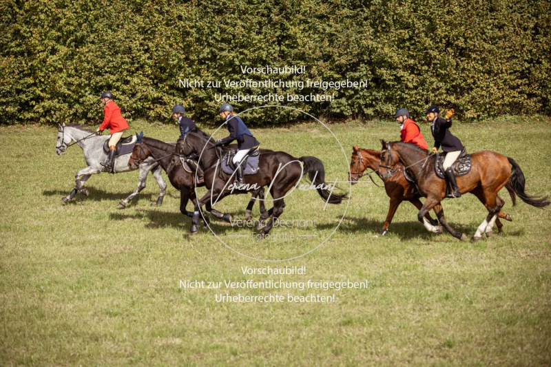 Schleppjagd_Laichingen-245