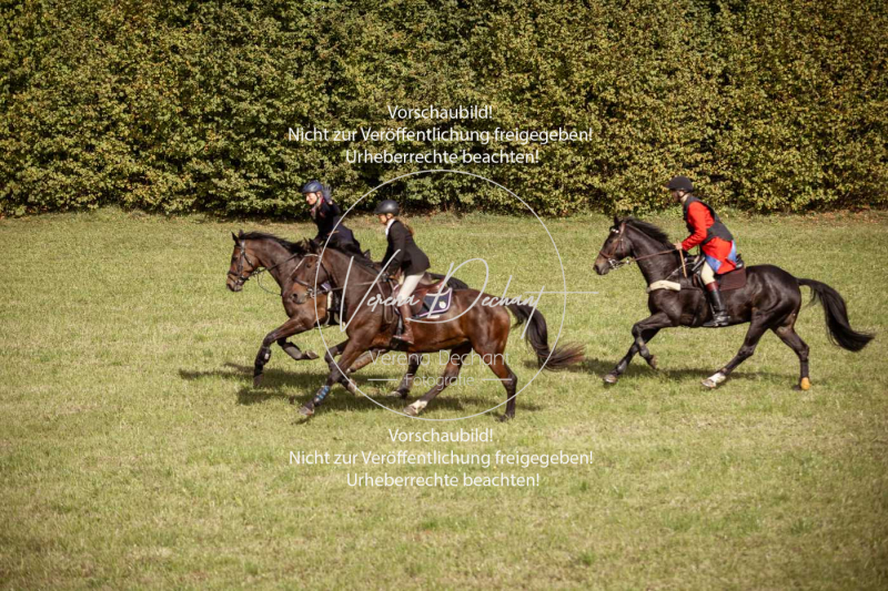 Schleppjagd_Laichingen-252