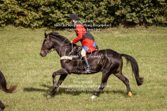 Schleppjagd_Laichingen-256