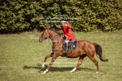 Schleppjagd_Laichingen-270