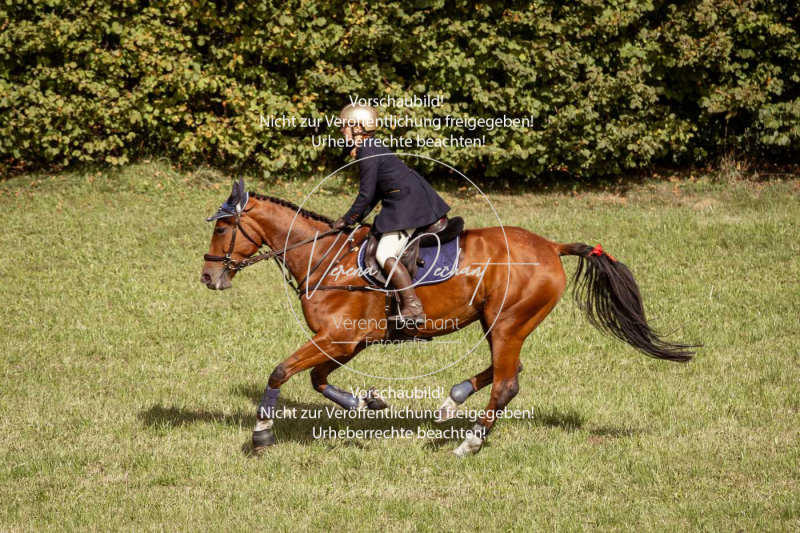 Schleppjagd_Laichingen-282