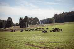 Schleppjagd_Laichingen-295