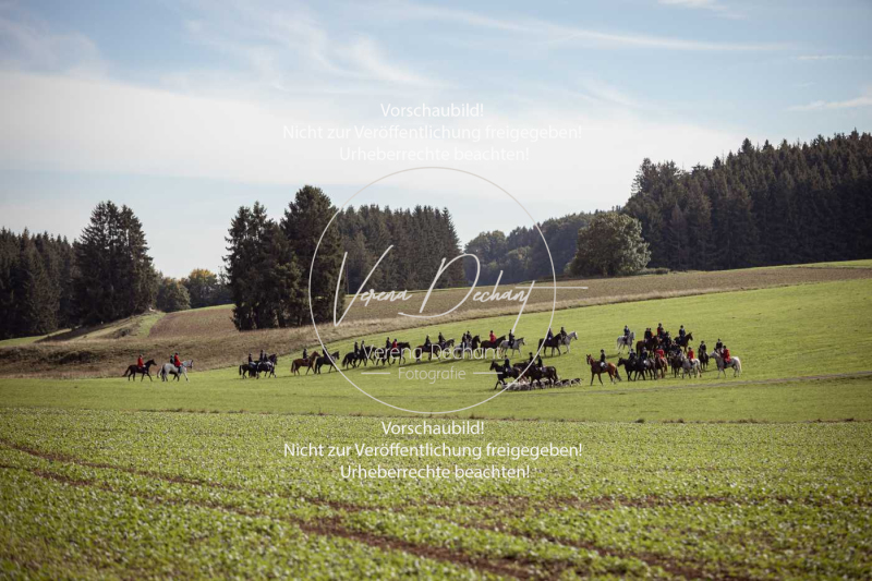 Schleppjagd_Laichingen-295