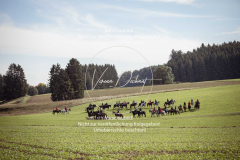 Schleppjagd_Laichingen-296