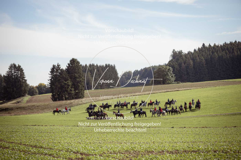 Schleppjagd_Laichingen-296