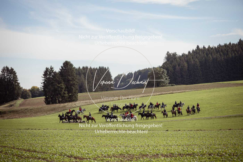 Schleppjagd_Laichingen-297