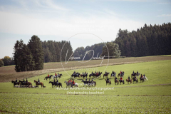 Schleppjagd_Laichingen-298