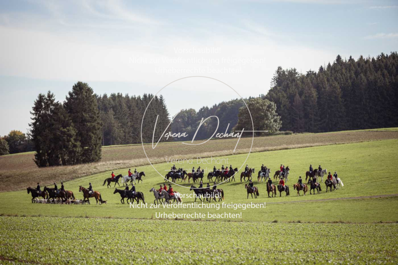 Schleppjagd_Laichingen-298