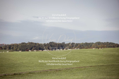 Schleppjagd_Laichingen-302