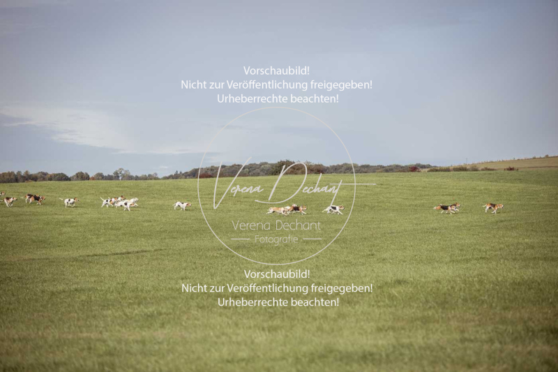 Schleppjagd_Laichingen-305