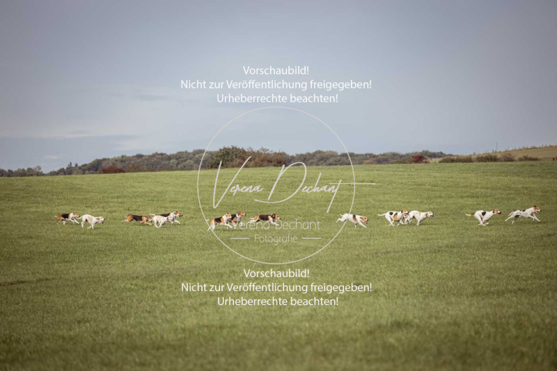 Schleppjagd_Laichingen-307