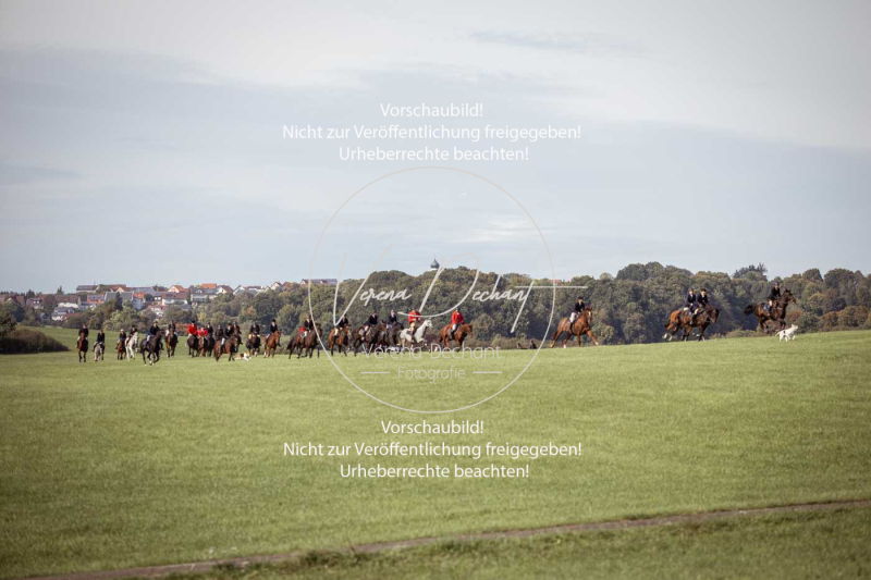 Schleppjagd_Laichingen-308