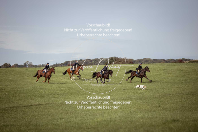 Schleppjagd_Laichingen-314