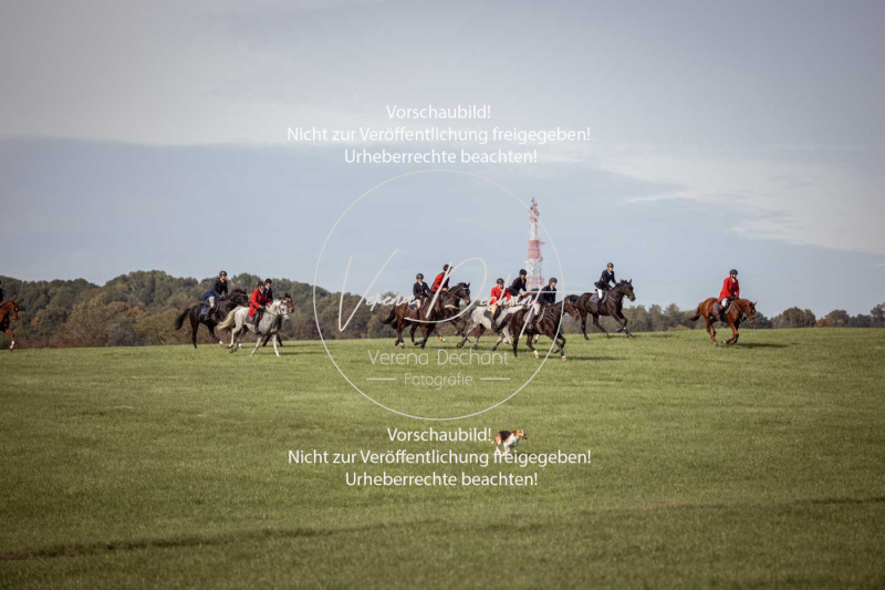 Schleppjagd_Laichingen-316