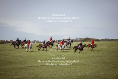 Schleppjagd_Laichingen-320