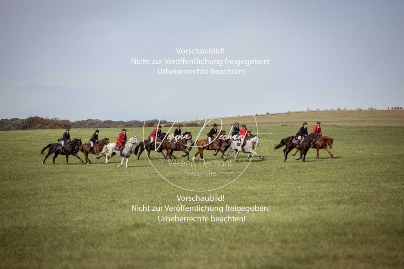 Schleppjagd_Laichingen-324