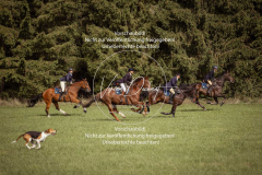 Schleppjagd_Laichingen-325