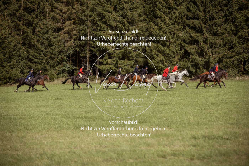 Schleppjagd_Laichingen-331