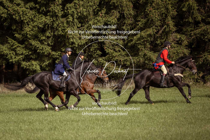 Schleppjagd_Laichingen-340