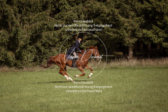 Schleppjagd_Laichingen-342