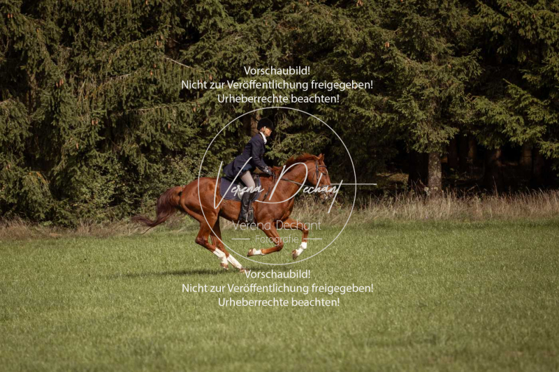 Schleppjagd_Laichingen-342