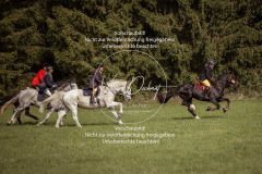 Schleppjagd_Laichingen-344