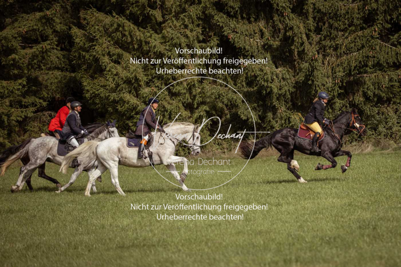 Schleppjagd_Laichingen-344