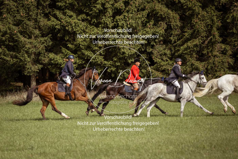 Schleppjagd_Laichingen-351