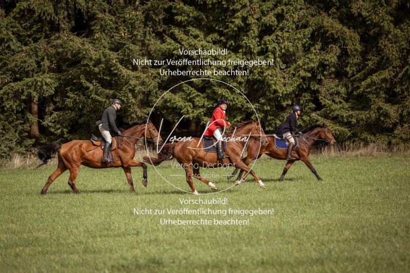 Schleppjagd_Laichingen-355