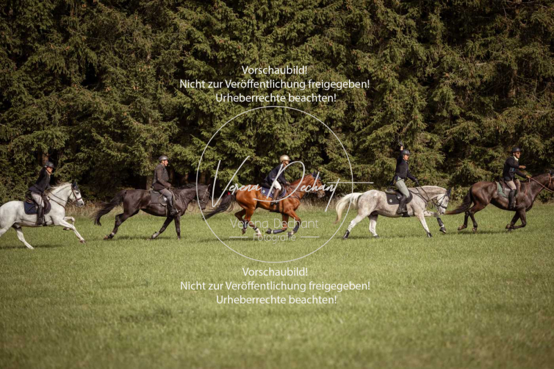 Schleppjagd_Laichingen-361