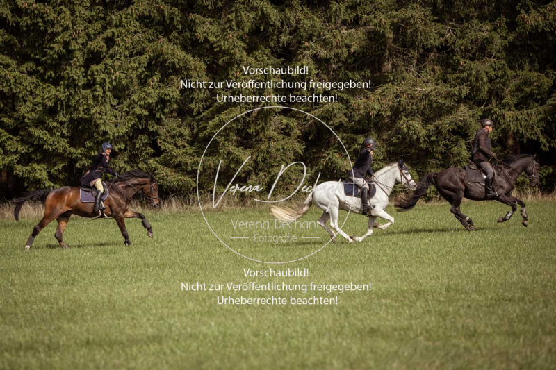 Schleppjagd_Laichingen-366