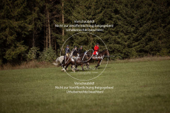 Schleppjagd_Laichingen-376