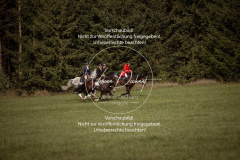 Schleppjagd_Laichingen-377