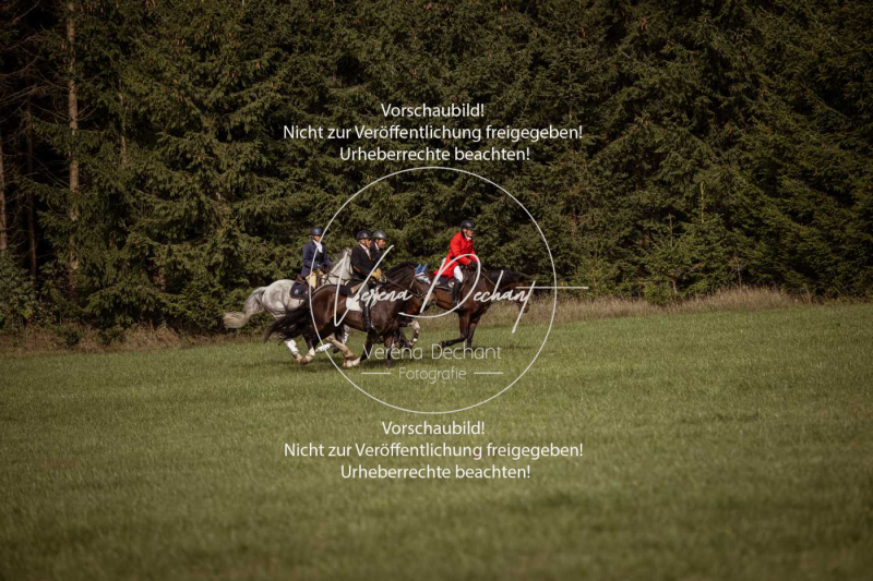 Schleppjagd_Laichingen-377