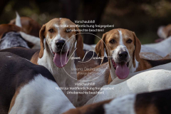 Schleppjagd_Laichingen-392