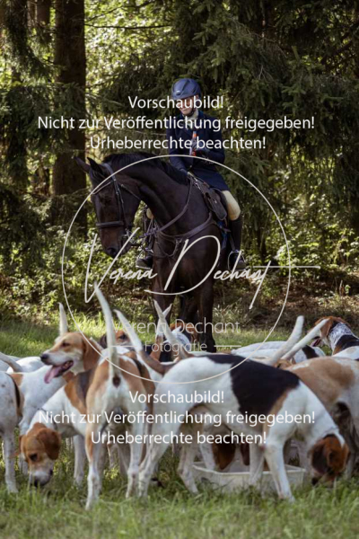 Schleppjagd_Laichingen-396