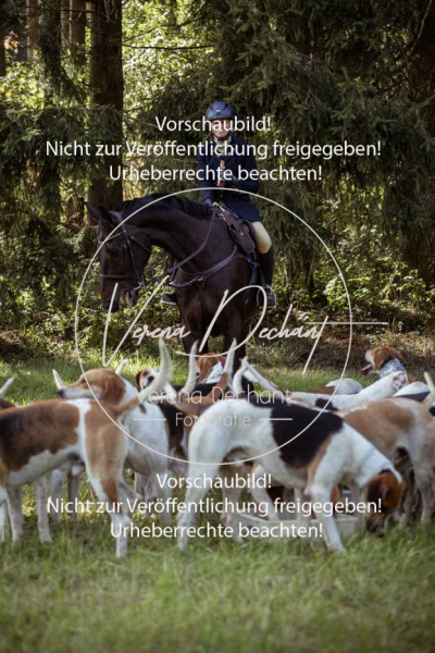 Schleppjagd_Laichingen-397